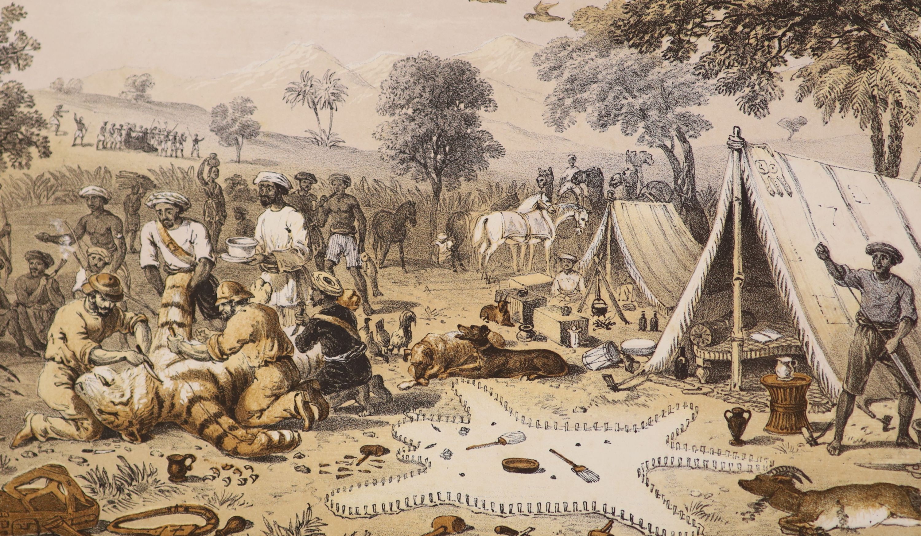 Maj.Gen. - Tiger-Shooting in India: An Account of Hunting Experiences on Foot, 8vo, half calf with marbled boards, with 12 chromolitho plates, Smith, Elder & Co.,London, 1857